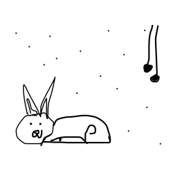 cute bunny