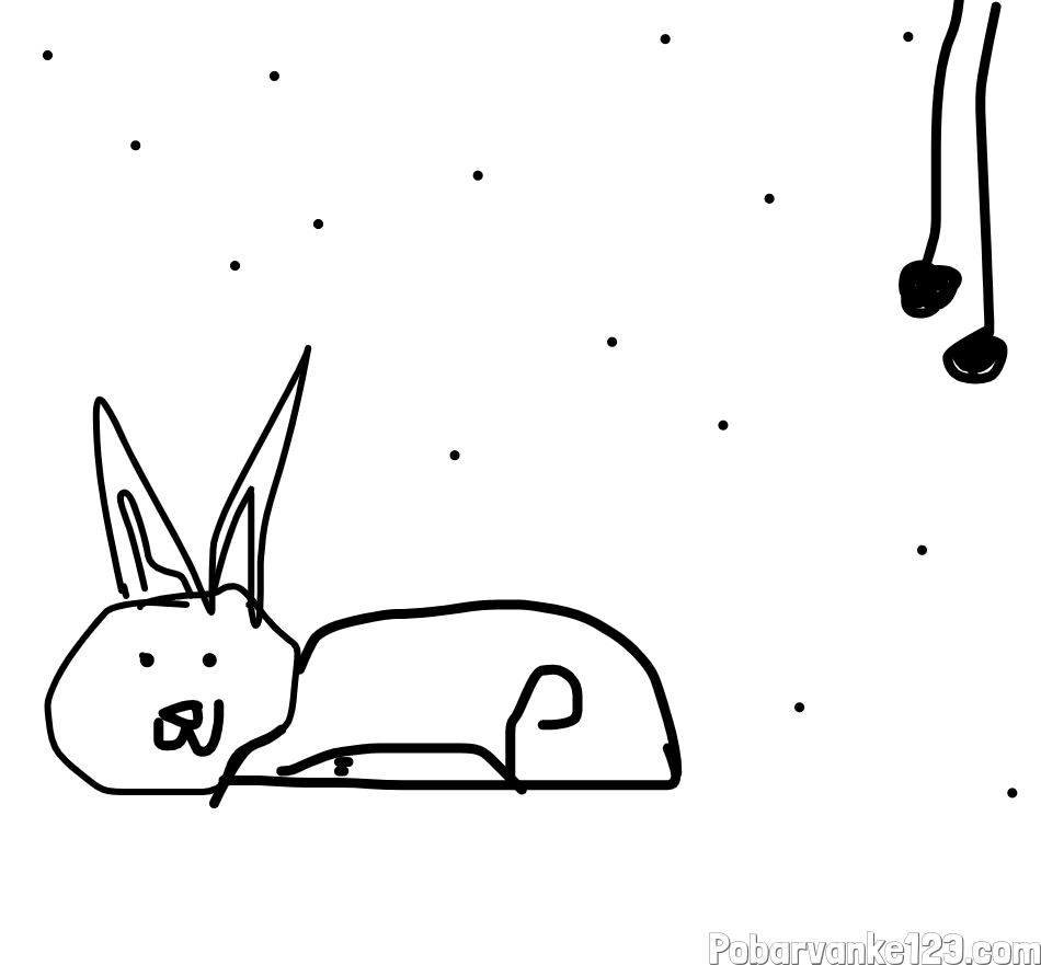cute bunny