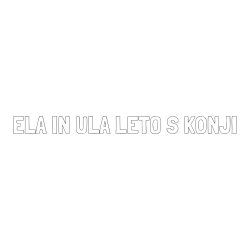 Online izdelana pobarvanka - Pobarvanka imena ELA IN ULA LETO S KONJI