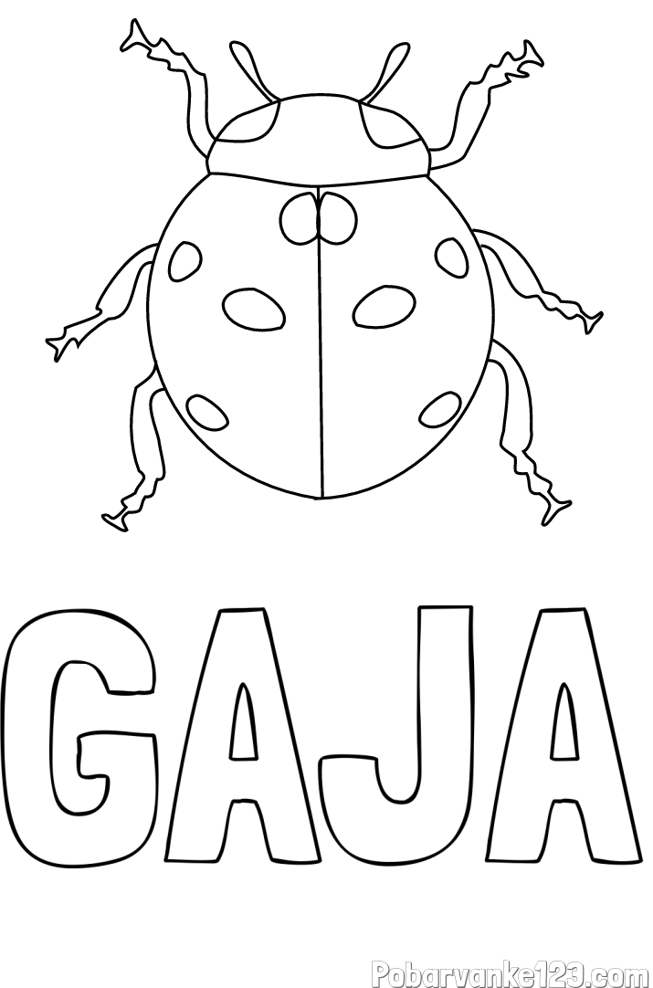 Pobarvanka imena GAJA in pobarvanka pikapolonice
