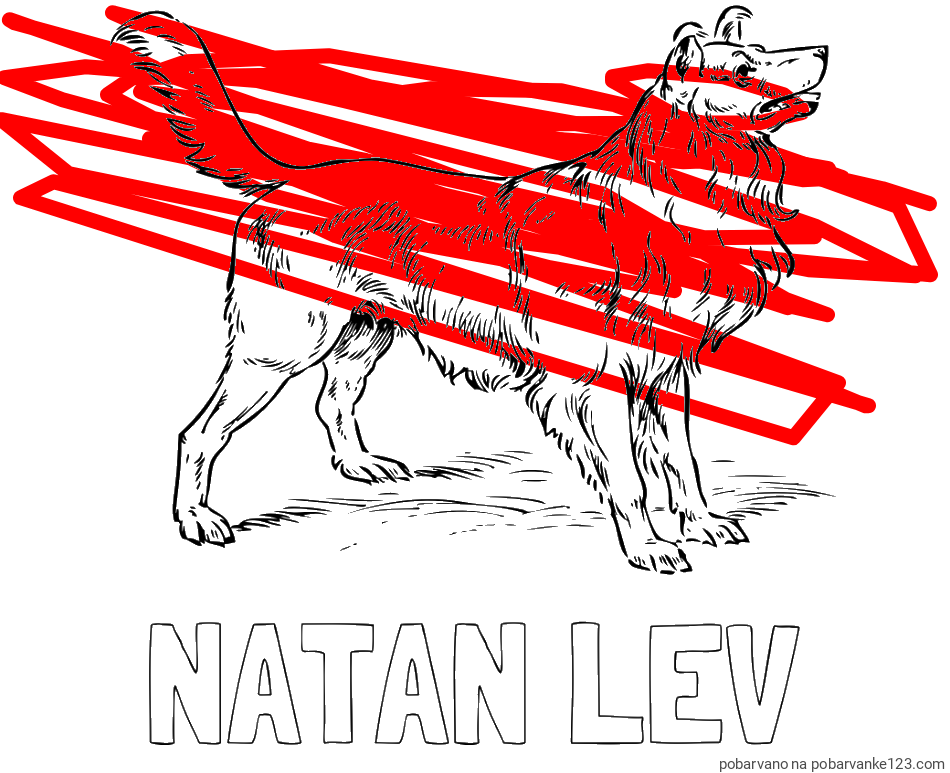 POBARVANA POBARVANKA - Pobarvanka imena NATAN LEV in pobarvanka prikupnega in prijaznega kužka
