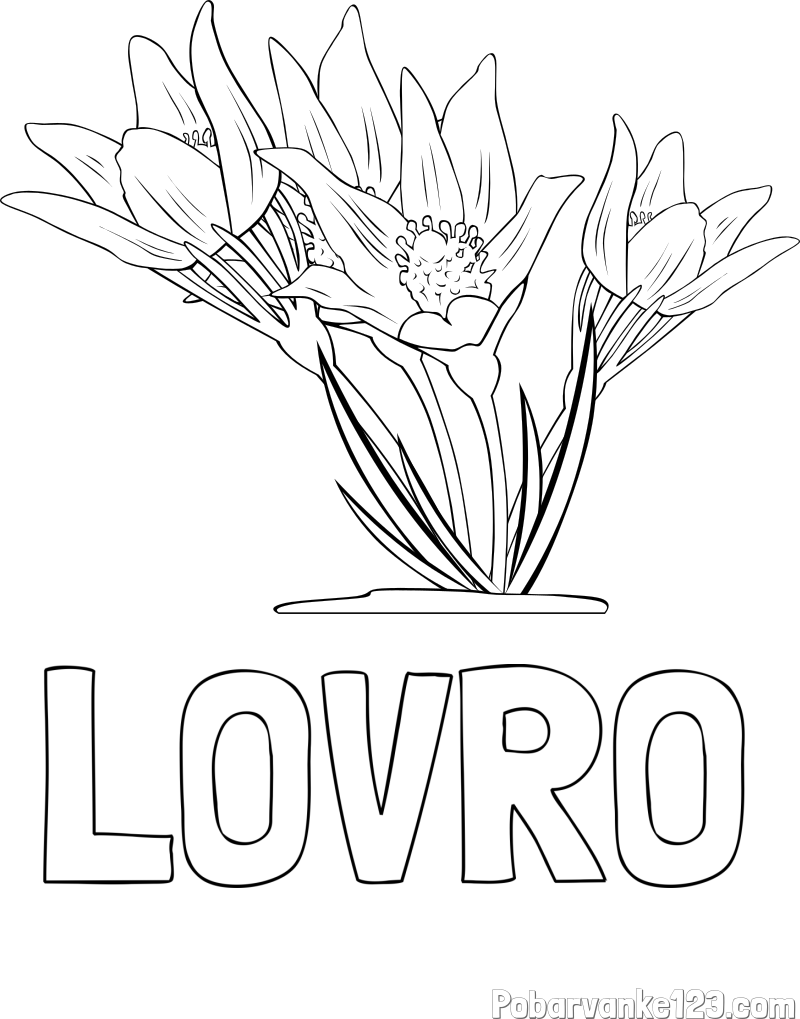 Pobarvanka imena LOVRO in pobarvanka lepe rože