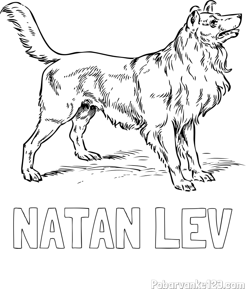 Pobarvanka imena NATAN LEV in pobarvanka prikupnega in prijaznega kužka