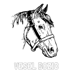 Online izdelana pobarvanka - Pobarvanka imena VESEL BOŽIČ in konjska glava