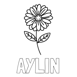 Online izdelana pobarvanka - Pobarvanka imena AYLIN in pobarvanka rožice