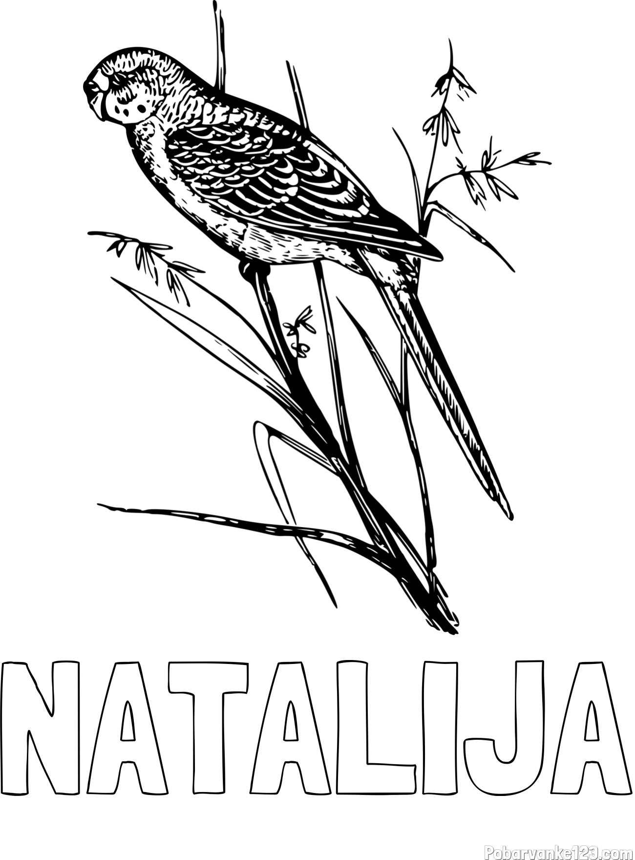 Pobarvanka imena NATALIJA in pobarvanka kanarčka