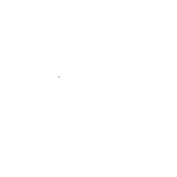čaroben vid