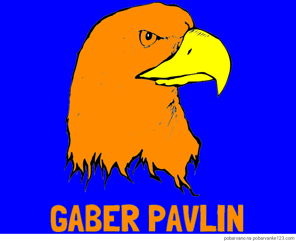 POBARVANA POBARVANKA - Pobarvanka imena GABER PAVLIN in pobarvanka orlove glave