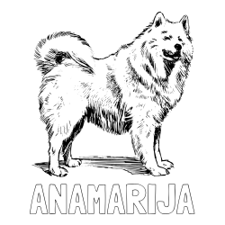 Online izdelana pobarvanka - Pobarvanka imena ANAMARIJA in pobarvanka čudovitega samojega