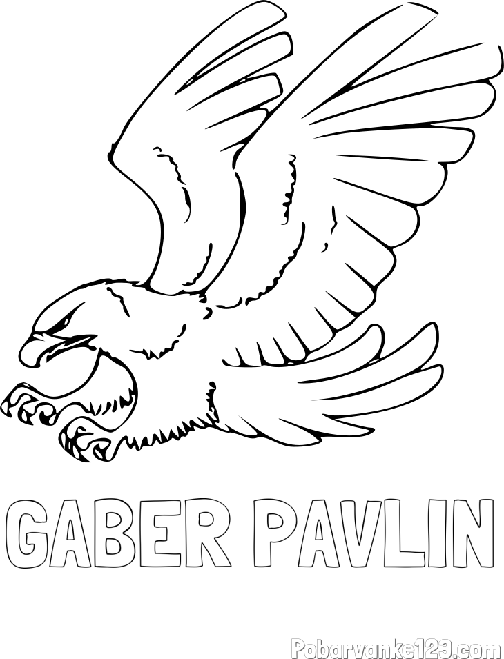 Pobarvanka imena GABER PAVLIN in pobarvanka orla v napadu
