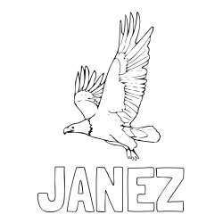 Online izdelana pobarvanka - Pobarvanka imena JANEZ in pobarvanka orla v letu