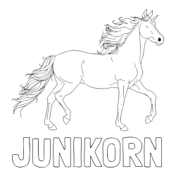 Online izdelana pobarvanka - Pobarvanka imena JUNIKORN in samorog