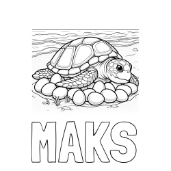 Pobarvanka imena MAKS in pobarvanka želve na obali