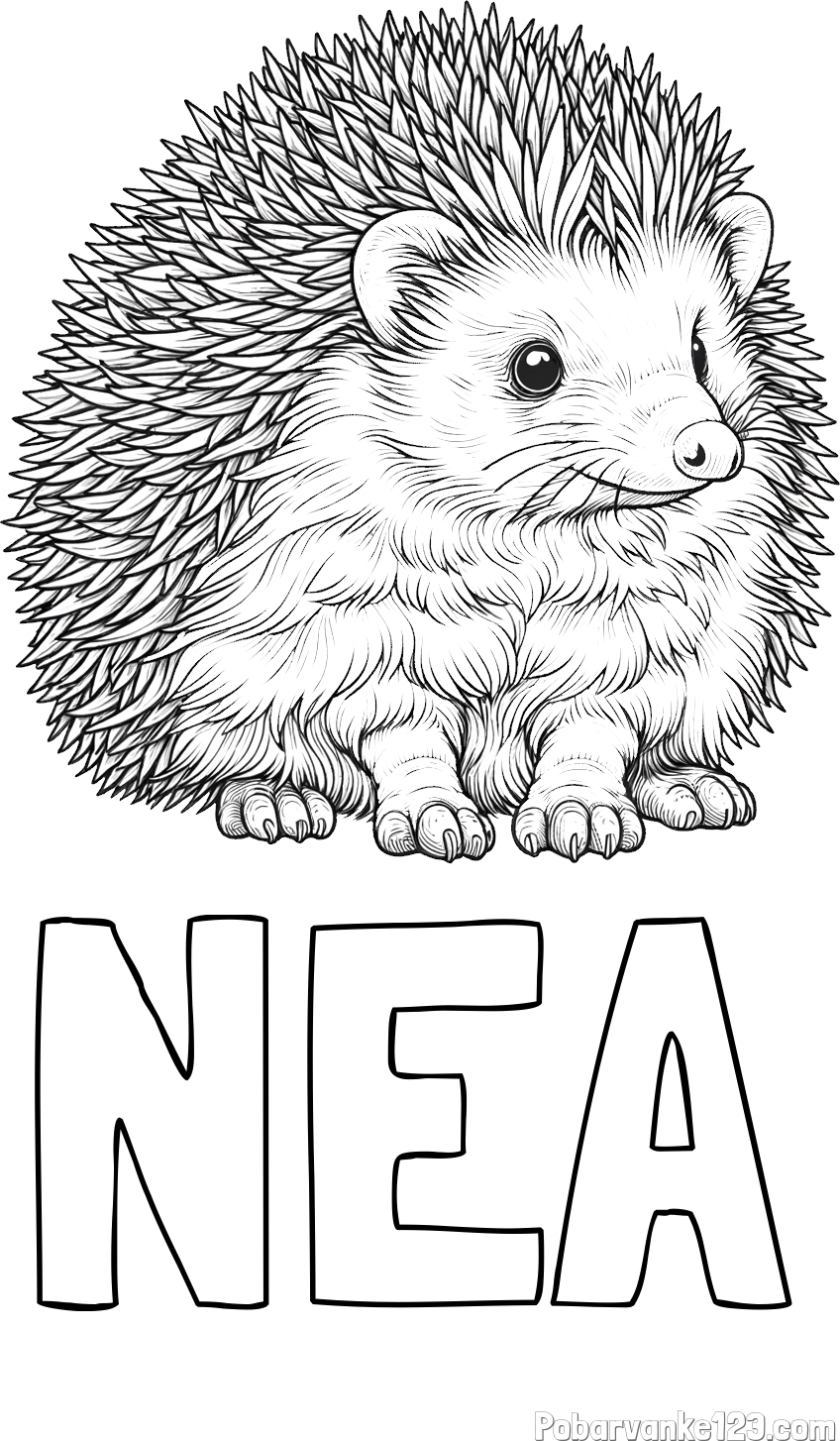 Pobarvanka imena NEA in pobarvanka nasmejanega ježa
