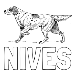 Online izdelana pobarvanka - Pobarvanka imena NIVES in pobarvanka lovskega psa na lovu