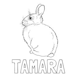 Pobarvanka imena TAMARA in pobarvanka debelega zajca