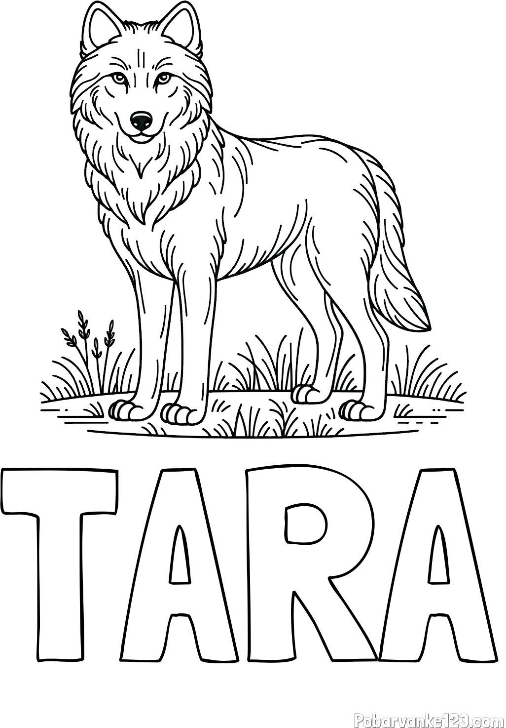 Pobarvanka imena TARA in pobarvanka volka
