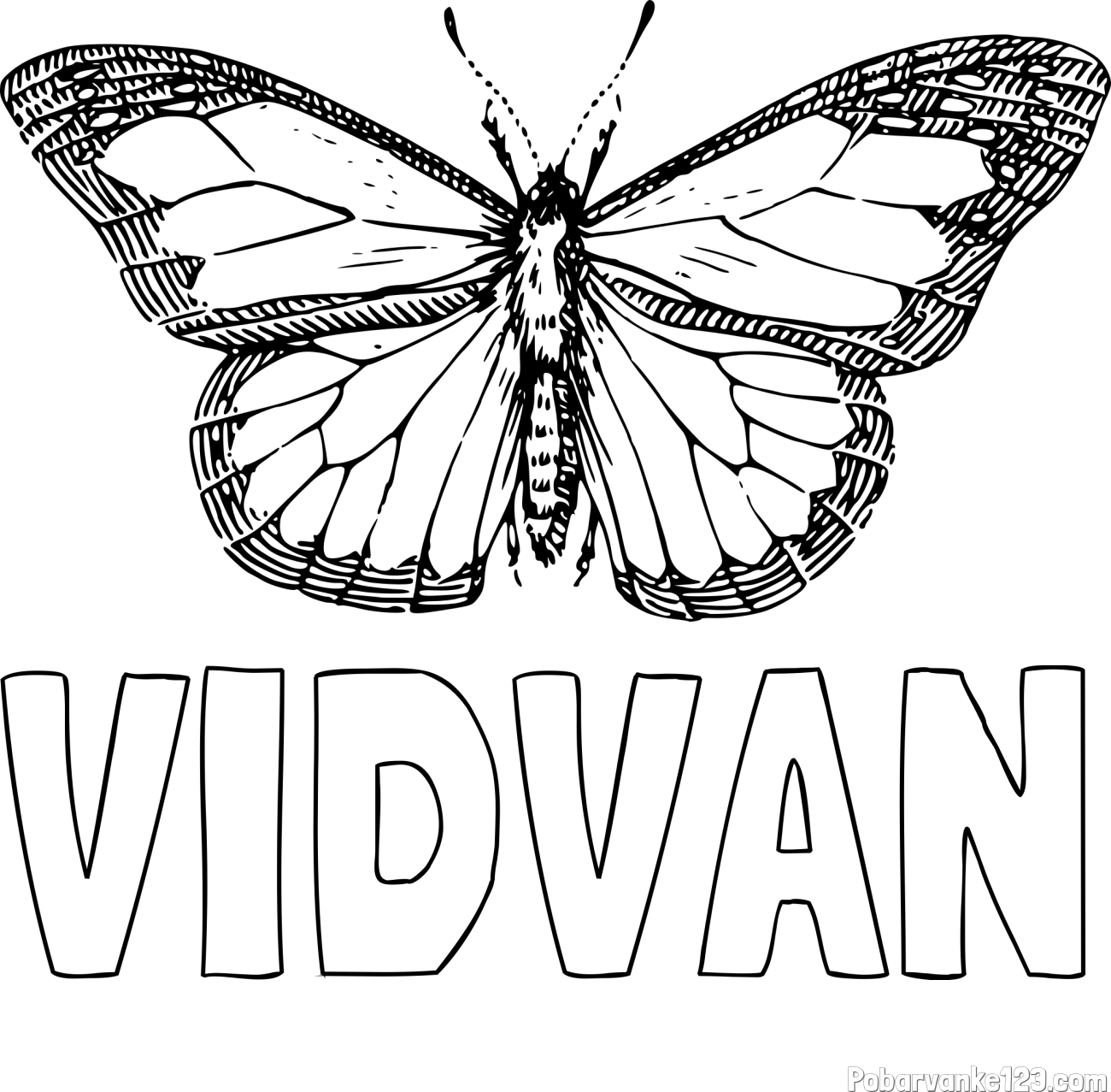 Pobarvanka imena VIDVAN in pobarvanka metulja