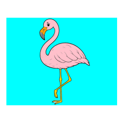 POBARVANA POBARVANKA - Pobarvanka flaminga