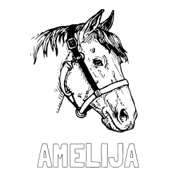 Online izdelana pobarvanka - Pobarvanka imena AMELIJA in konjska glava