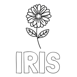 Online izdelana pobarvanka - Pobarvanka imena IRIS in pobarvanka rožice