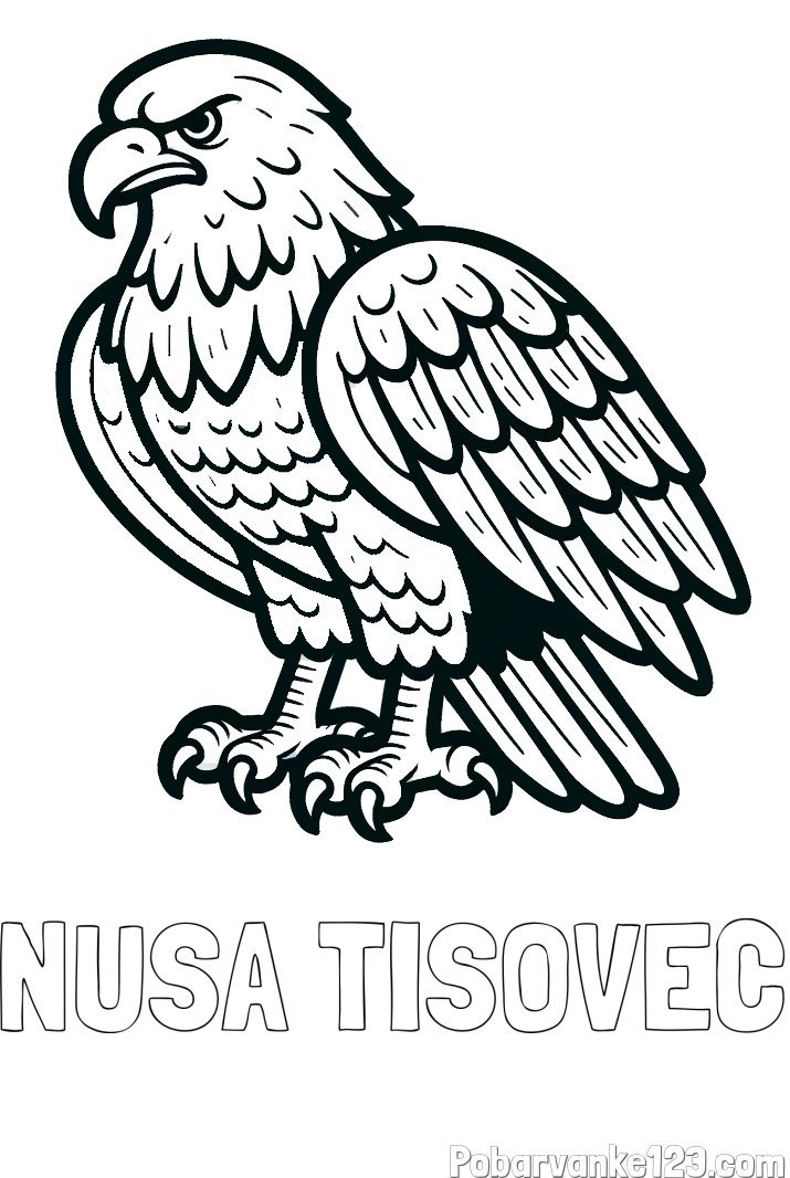 Pobarvanka imena NUŠA TISOVEC in pobarvanka orla
