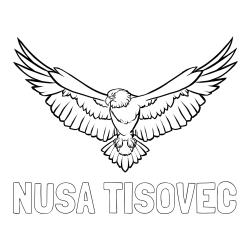 Online izdelana pobarvanka - Pobarvanka imena NUŠA TISOVEC in pobarvanka orla s široko razprtimi krili