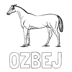 Online izdelana pobarvanka - Pobarvanka imena OŽBEJ in pobarvanka konja