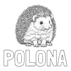 Online izdelana pobarvanka - Pobarvanka imena POLONA in pobarvanka nasmejanega ježa