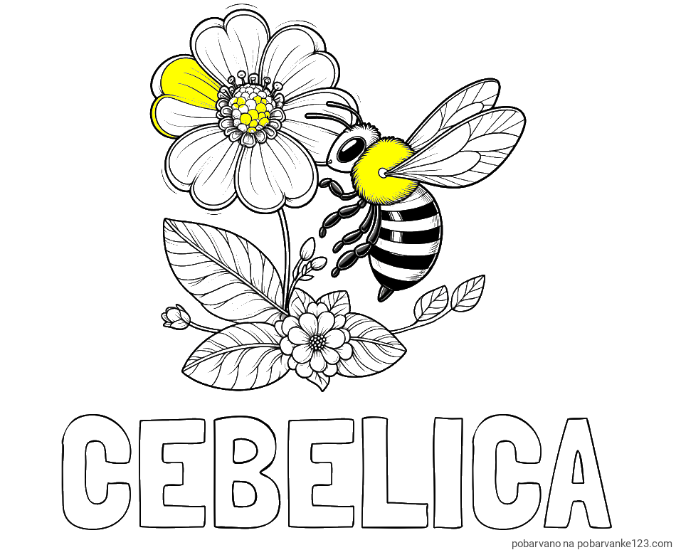 POBARVANA POBARVANKA - Pobarvanka imena ČEBELICA in otroška pobarvanka čebelice in rožice