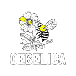 Pobarvana pobarvanka - Pobarvanka imena ČEBELICA in otroška pobarvanka čebelice in rožice