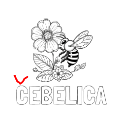 Pobarvana pobarvanka - Pobarvanka imena ČEBELICA in otroška pobarvanka čebelice in rožice