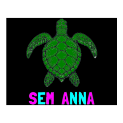 Pobarvana pobarvanka - Pobarvanka imena SEM  ANNA in enostavna pobarvanka želve