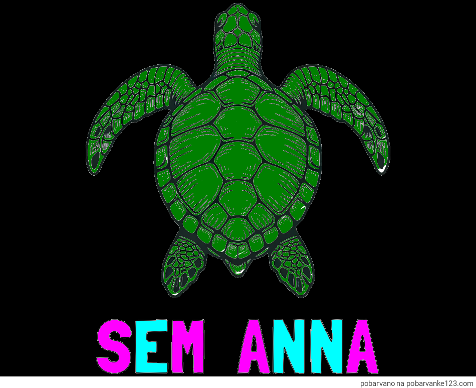 POBARVANA POBARVANKA - Pobarvanka imena SEM  ANNA in enostavna pobarvanka želve
