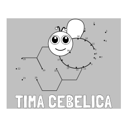 Pobarvana pobarvanka - Pobarvanka imena TIMA CEBELICA in pobarvanka čebelice in satja - poveži številke