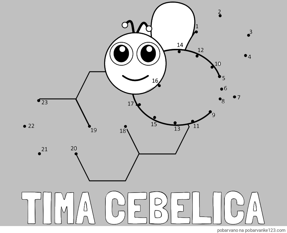 POBARVANA POBARVANKA - Pobarvanka imena TIMA CEBELICA in pobarvanka čebelice in satja - poveži številke