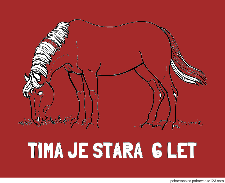 POBARVANA POBARVANKA - Pobarvanka imena TIMA JE STARA  6 LET in pobarvanka konja med pašo