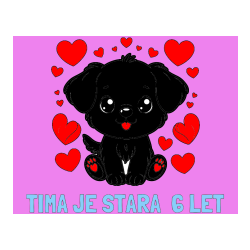 POBARVANA POBARVANKA - Pobarvanka imena TIMA JE STARA  6 LET in pobarvanka ljubkega kužka obdanega s srčki