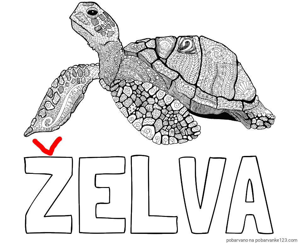 POBARVANA POBARVANKA - Pobarvanka imena ŽELVA in pobarvanka velike želve - mandale