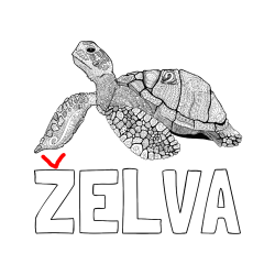 Pobarvana pobarvanka - Pobarvanka imena ŽELVA in pobarvanka velike želve - mandale