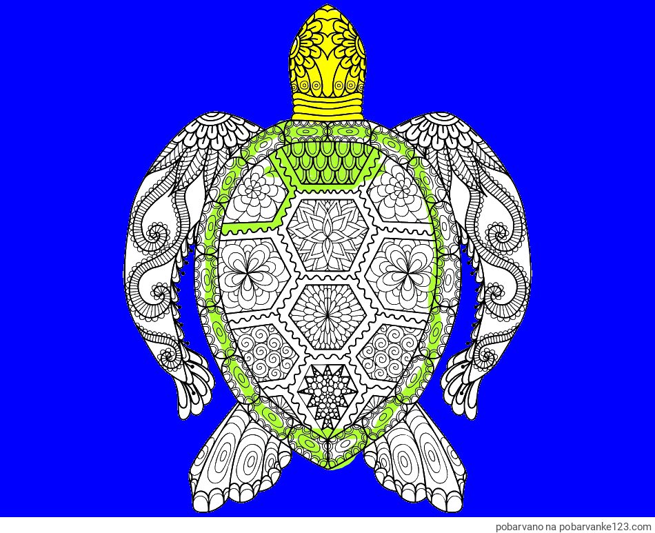 POBARVANA POBARVANKA - Pobarvanka želve - mandale