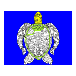 Pobarvana pobarvanka - Pobarvanka želve - mandale