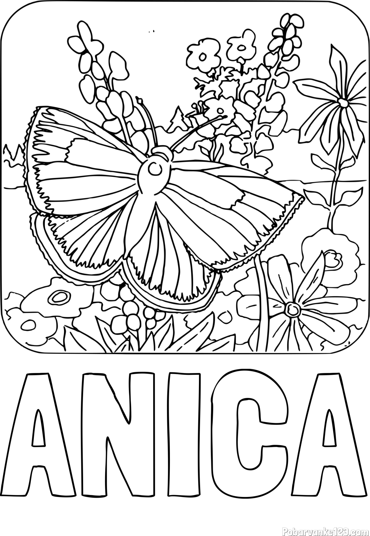 Pobarvanka imena ANICA in pobarvanka metulja v naravi