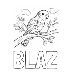 Online izdelana pobarvanka - Pobarvanka imena BLAŽ in pobarvanka ljubkega kanarčka na veji