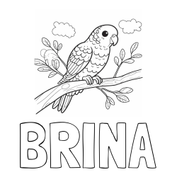 Online izdelana pobarvanka - Pobarvanka imena BRINA in pobarvanka ljubkega kanarčka na veji