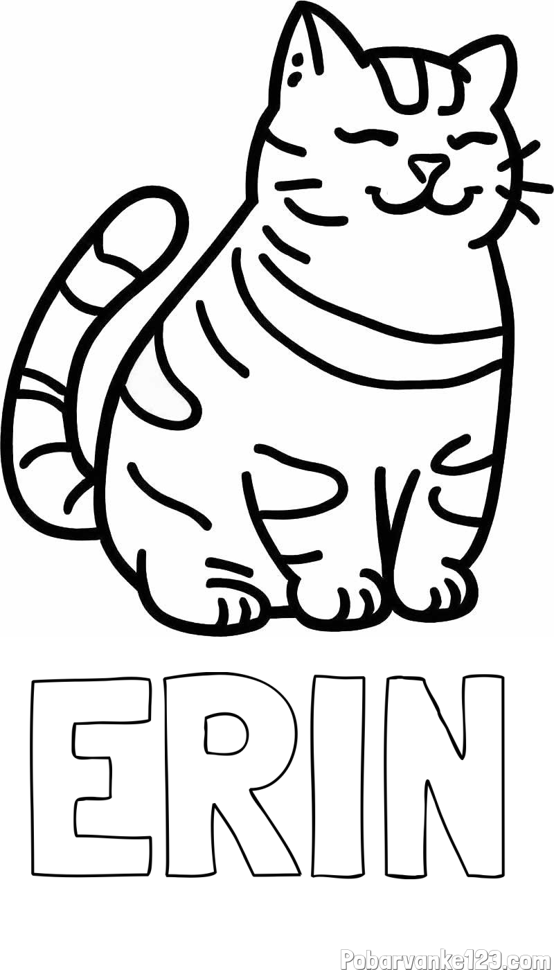 Pobarvanka imena ERIN in pobarvanka debelušne mačke