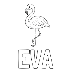 Online izdelana pobarvanka - Pobarvanka imena EVA in pobarvanka flaminga