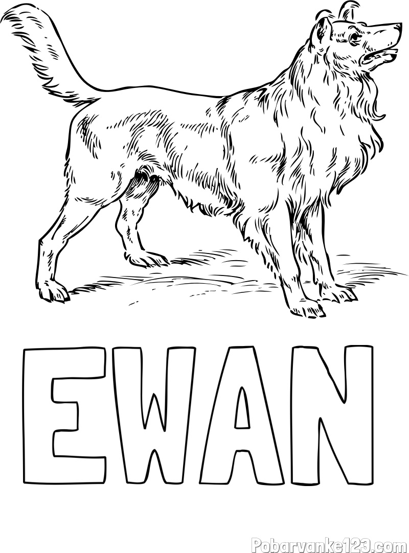 Pobarvanka imena EWAN in pobarvanka prikupnega in prijaznega kužka