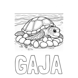 Online izdelana pobarvanka - Pobarvanka imena GAJA in pobarvanka želve na obali
