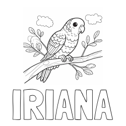 Online izdelana pobarvanka - Pobarvanka imena IRIANA in pobarvanka ljubkega kanarčka na veji